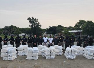FFAA cuantifica los decomisos de droga por más de 7 mil millones de lempiras