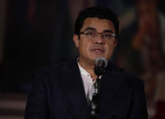 Vicecanciller Torres cuestiona las acusaciones de fraude en elecciones venezolanas