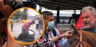 Roberto Contreras llama «delincuentes» a carreteros y se compromete a ser voz de los animales maltratados en la ciudad