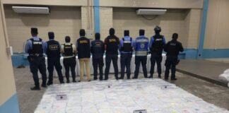 Autoridades antidrogas decomisan 14 fardos de marihuana «Crispy» en Puerto Cortés