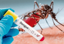 Honduras suma 147 muertes por dengue y más de 110.000 casos sospechosos en 2024