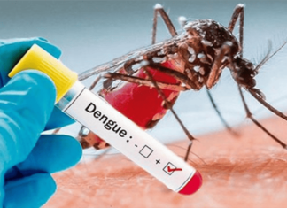 Honduras registra más de 50 mil casos y 61 fallecidos por dengue