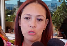 Destituyen a la directora del Registro Vehicular del IP, Elisa Borjas