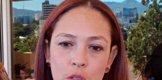 Destituyen a la directora del Registro Vehicular del IP, Elisa Borjas