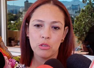 Destituyen a la directora del Registro Vehicular del IP, Elisa Borjas