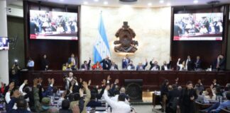 Congreso busca aprobar adendas de contratos de energía con los votos de diputados suplentes, denuncia ASJ