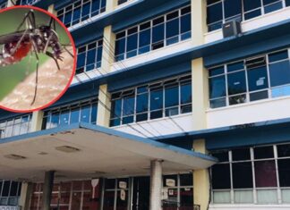 Hospital Escuela reporta 54 menores hospitalizados por dengue