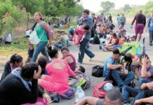 OIM: Al menos 291 migrantes desaparecieron en las peligrosas rutas del Caribe durante 2024