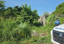 ¡Otra masacre! Asesinados y con signos de tortura encuentran a tres personas en el sector Rivera Hernández, SPS