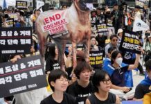 Productores de carne de perro surcoreanos protestan contra la ley que prohíbe su venta