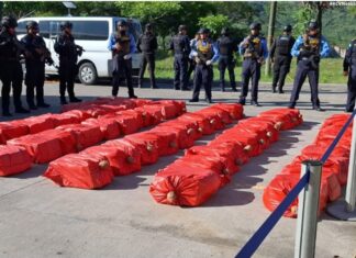 Dictan detención judicial para persona que traficaba mil 300 kilos de coca