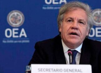 La OEA repudió la citación de la justicia chavista a Edmundo González