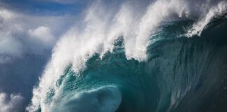 Observan tsunami de hasta medio metro tras terremoto de 7,1 en Japón, que deja 9 heridos