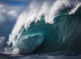 Observan tsunami de hasta medio metro tras terremoto de 7,1 en Japón, que deja 9 heridos
