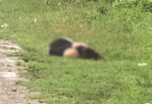 Hallan cuerpo de mujer a la orilla de la calle en Corquín, Copán