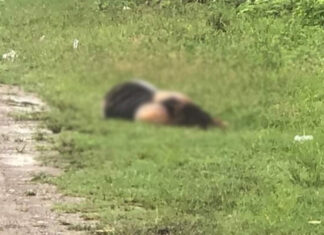 Hallan cuerpo de mujer a la orilla de la calle en Corquín, Copán