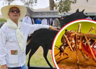 Fallece reconocido médico a causa del dengue en San Pedro Sula