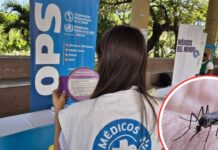 Honduras con récord de dengue en 2024, según la OPS
