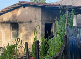 ¡Nueva masacre! Asesinan a tres personas en San Francisco de la Paz, Olancho