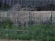 Texas amplía su controversial alambrada antimigrantes en la frontera con México