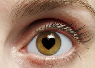 Un estudio desvela dónde reside el amor en el cerebro y cómo se activa