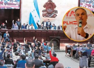 El Partido Liberal tomará medidas si no se aprueba el presupuesto esta semana, advierte Yani Rosenthal