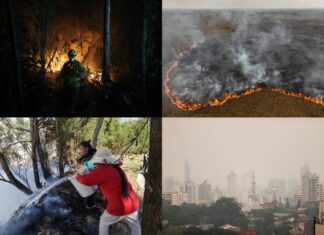 Ecuador declara la «alerta roja» en 14 de 24 provincias por sequía e incendios