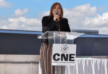 Ana Paola Hall asegura que el Pleno del CNE se celebrará “en legal y debida forma”