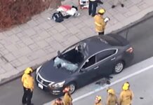 Un hombre saltó de un puente en California, cayó sobre un auto y mató a una mujer