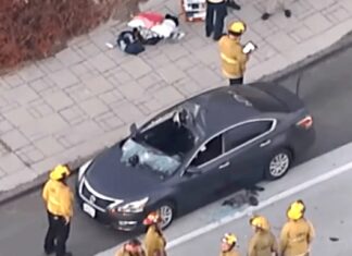 Un hombre saltó de un puente en California, cayó sobre un auto y mató a una mujer