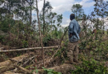 Invasiones de tierra están dejando la Mosquitia sin bosque, denuncian miskitos