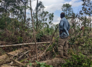 Invasiones de tierra están dejando la Mosquitia sin bosque, denuncian miskitos