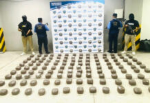 Decomisan 253 libras de marihuana en Olancho