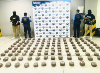 Decomisan 253 libras de marihuana en Olancho