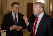 Trump confía en que Musk le ayude a ahorrar billones de dólares de gasto público si gana