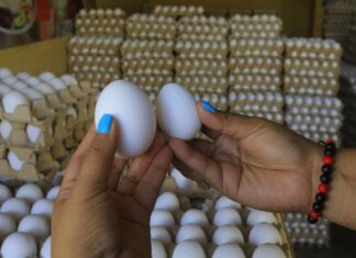 Aumenta 25 lempiras el cartón de huevos en SPS; pasó de 80 a 105 lempiras