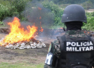 Autoridades Incineran más de 1.4 toneladas de cocaína