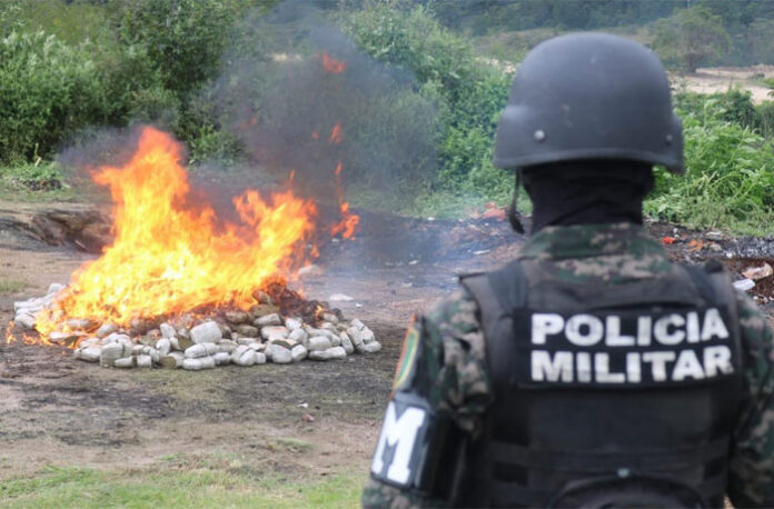 incineracion-696x458