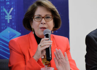 Directora de la AHIBA: «Si los bonos de la ENEE son encajables, es más atractivo para la banca»