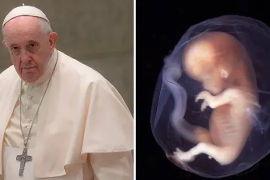 papa-francisco-aborto-08102022
