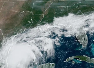 Francine se intensifica rumbo a la costa sur de EE.UU., donde puede impactar como huracán