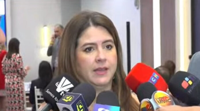 El CNE insta al Congreso Nacional apagar presupuesto de la Unidad de Política Limpia