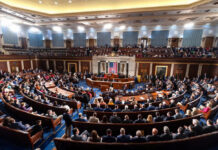 EE.UU. decide en noviembre otra batalla crucial: el control del Congreso