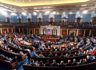EE.UU. decide en noviembre otra batalla crucial: el control del Congreso