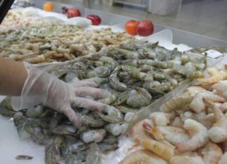 Camaroneros reportan caída de un 25% en las exportaciones