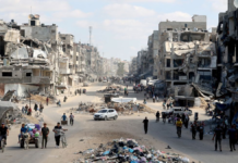 Los perros se comen a los muertos en las calles del norte de Gaza, dice el jefe de los servicios de emergencia