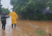 Más de 40 viviendas inundadas en Cuyamelito, Omoa Cortés