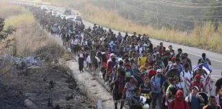 Texas ofrece a Trump unas 500 hectáreas para un centro de deportación de migrantes