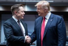 Musk dice estar «decepcionado» con plan fiscal de Trump que «socava» su labor como asesor