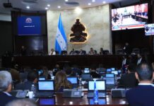 Diputada Suyapa Figueroa reacciona indignada por millonarios gastos del CN; mientras que el oficialismo defiende la necesidad de tener asesores